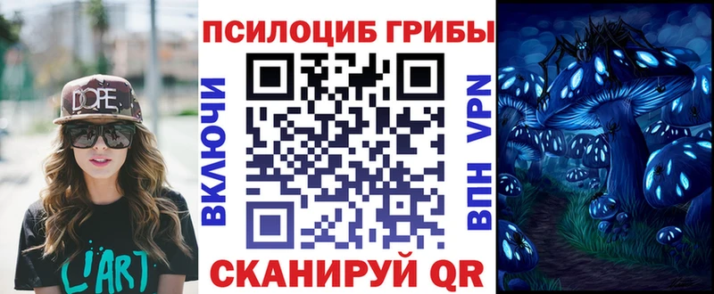 mega вход  сколько стоит  Бахчисарай  Псилоцибиновые грибы Psilocybe 